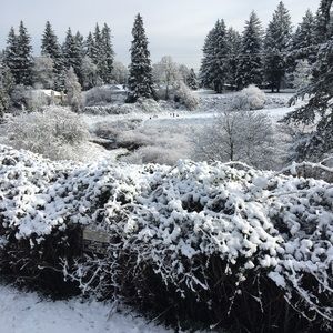 Meet your Posher, Miriam